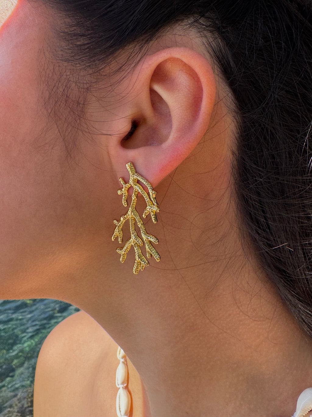 Coral Earrings