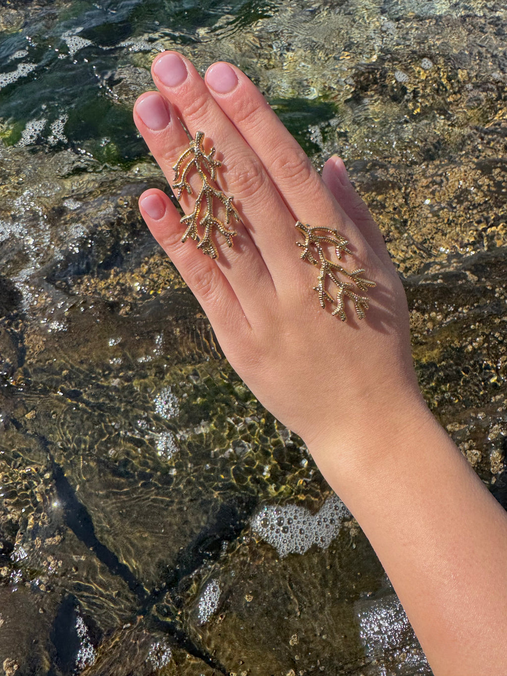 Coral Earrings