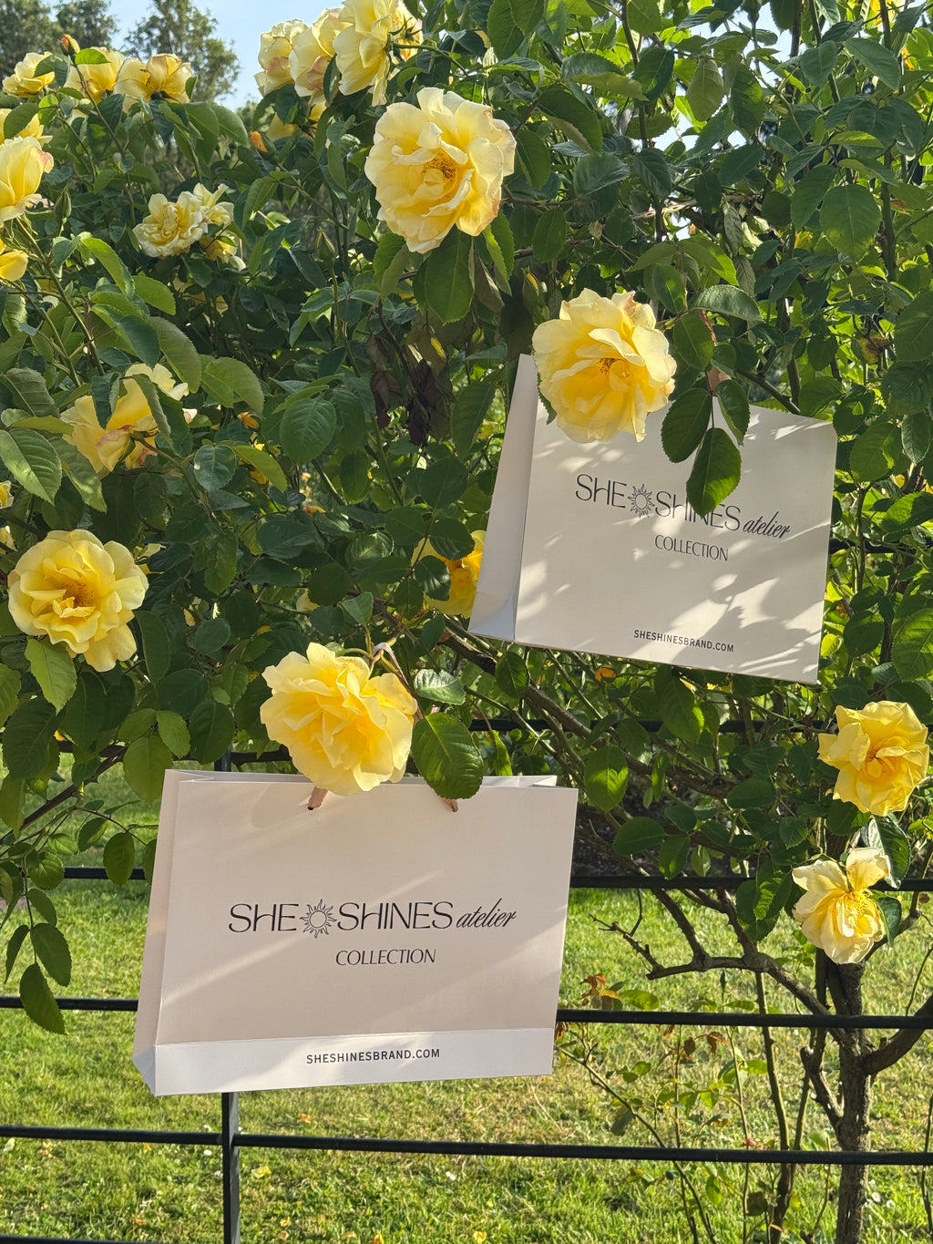 Brand's Shopping Bag